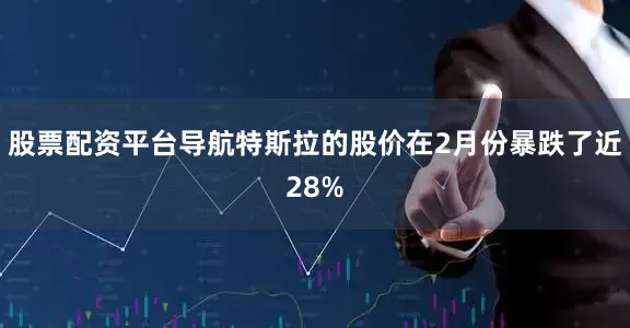 股票配资平台导航特斯拉的股价在2月份暴跌了近28%