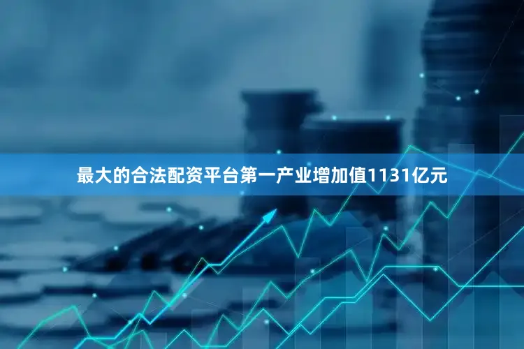 最大的合法配资平台第一产业增加值1131亿元