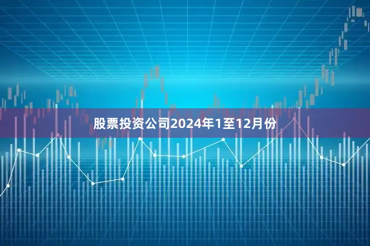 股票投资公司　　2024年1至12月份