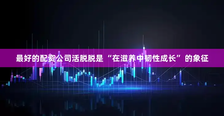 最好的配资公司活脱脱是 “在滋养中韧性成长” 的象征